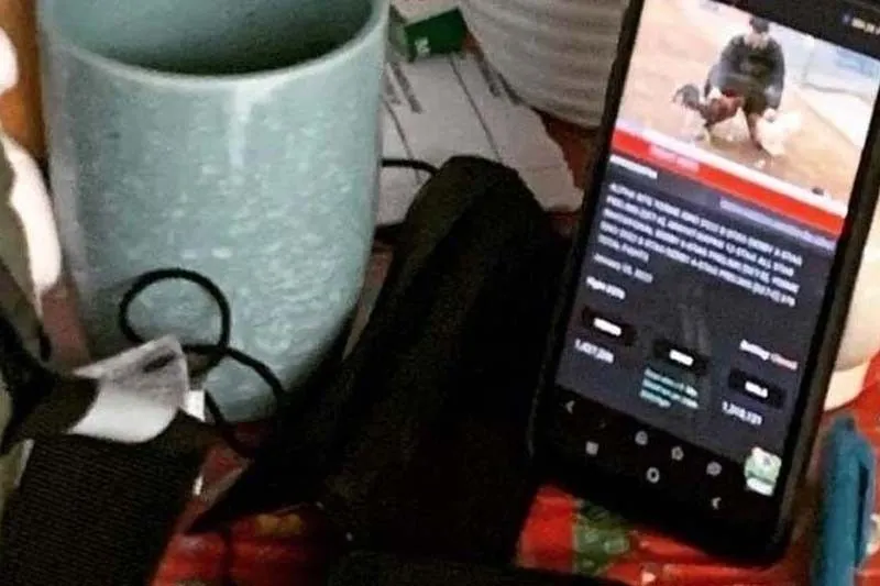 Kita ng e-sabong idagdag sa ayuda - Eleazar