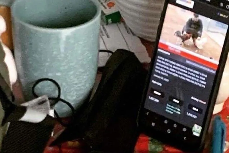 Game-fixing eyed in case of missing cockfight players Game-fixing eyed in case of missing cockfight players